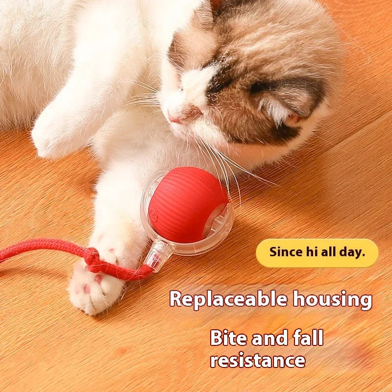 Interactive Electric Cat Rolling Ball