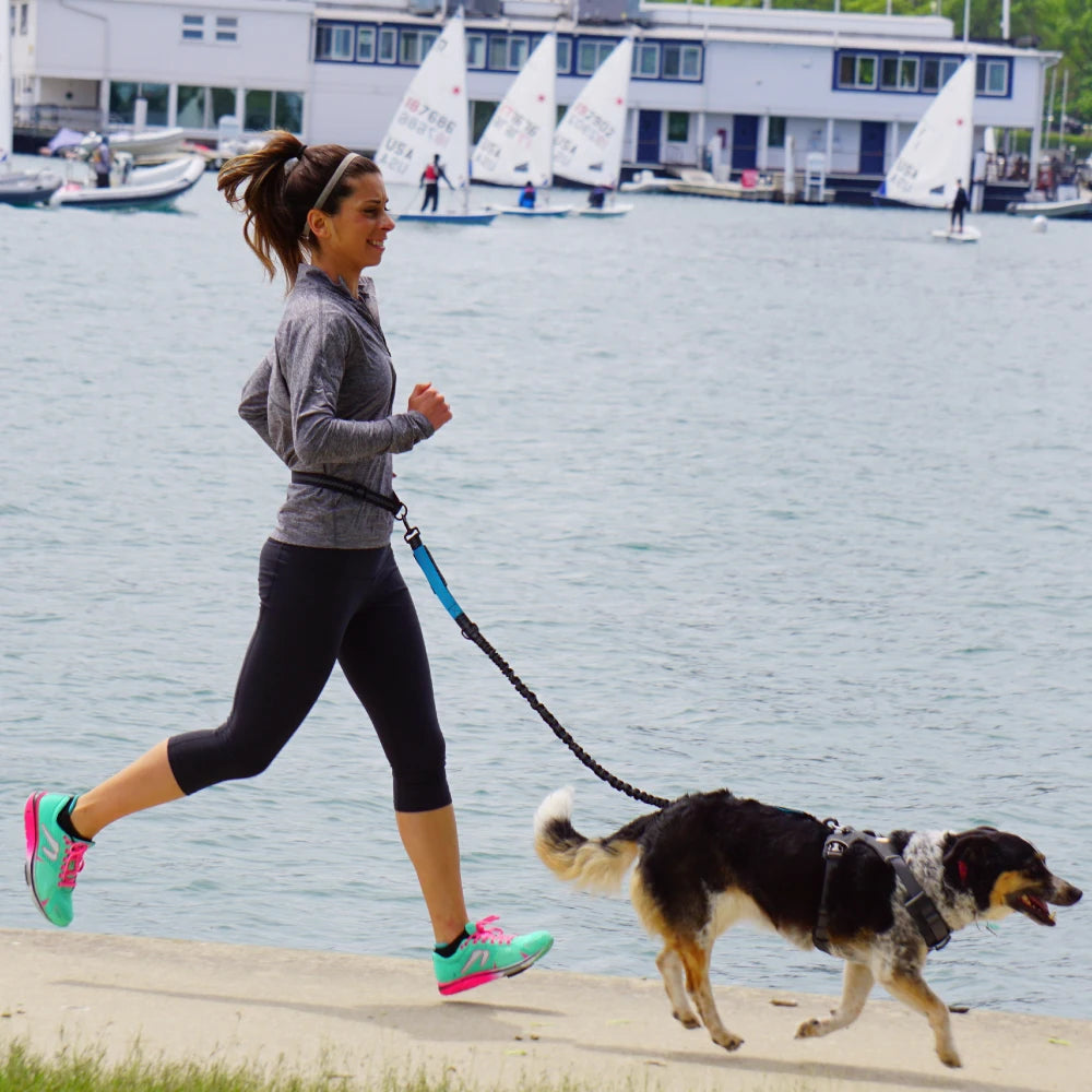 Hands-Free Dog Leash