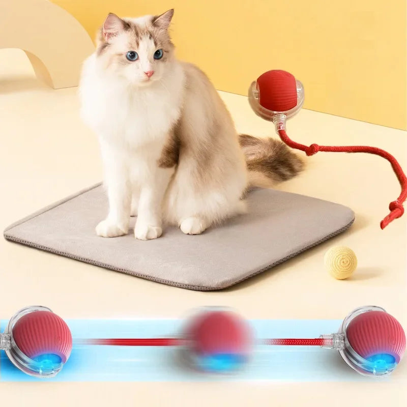 Interactive Electric Cat Rolling Ball